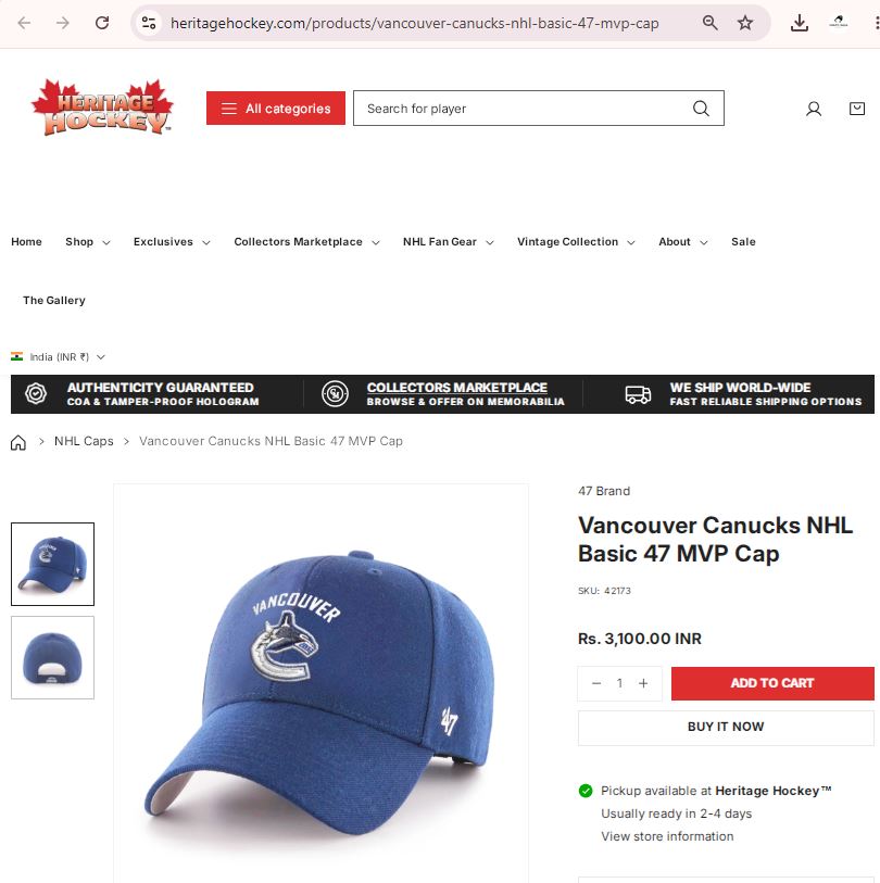 Thrifted '47 Brand Vancouver Canucks Embroidered Strapback Hat | 10788