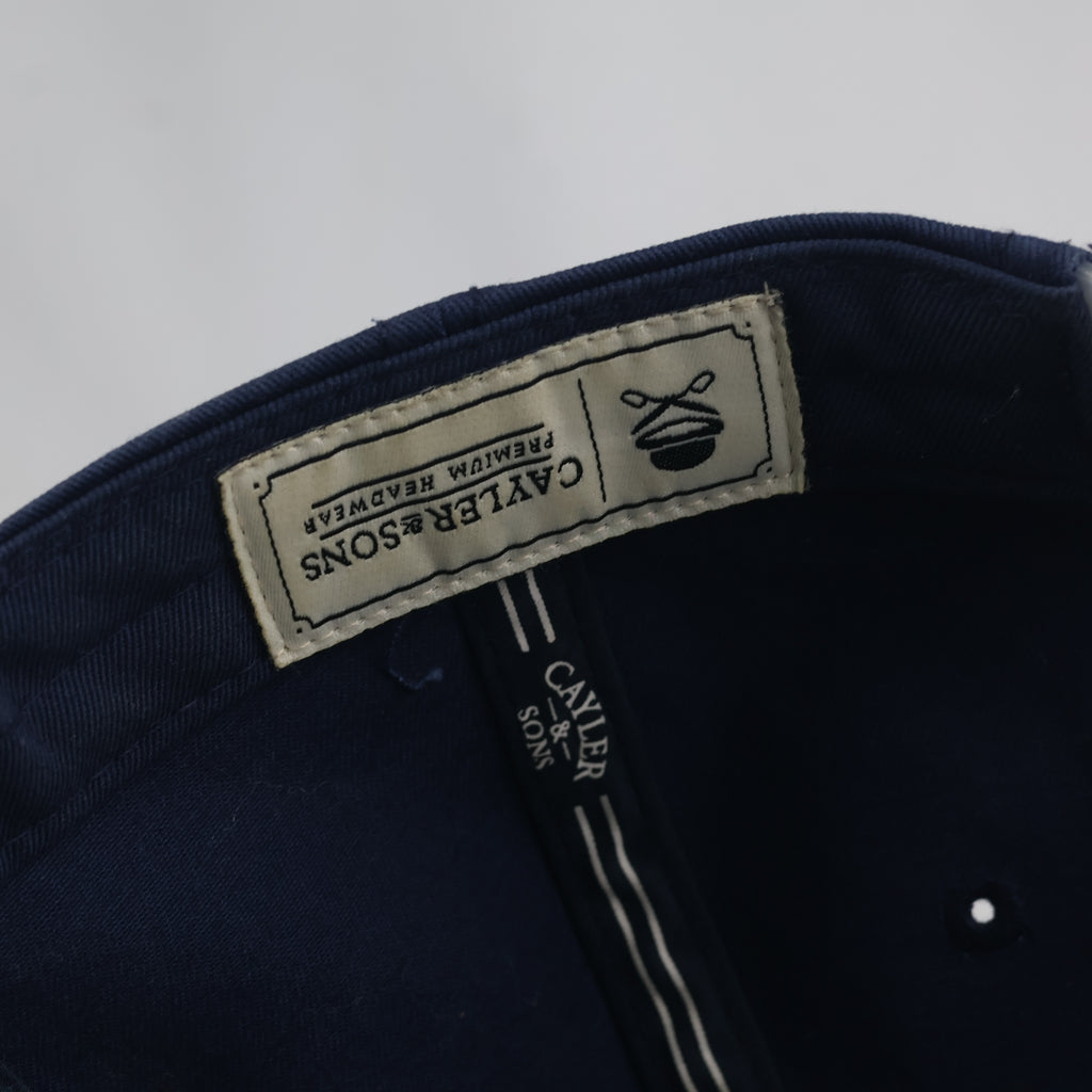 Retro Cayler & Sons Make It Rain Cap - Navy Blue Tropical Thrifted Snapback Hat