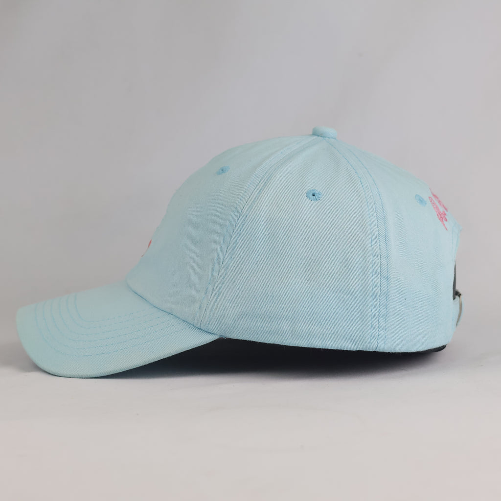 Thrifted Abercrombie & Fitch Sky Blue Cotton Baseball Cap | 10889
