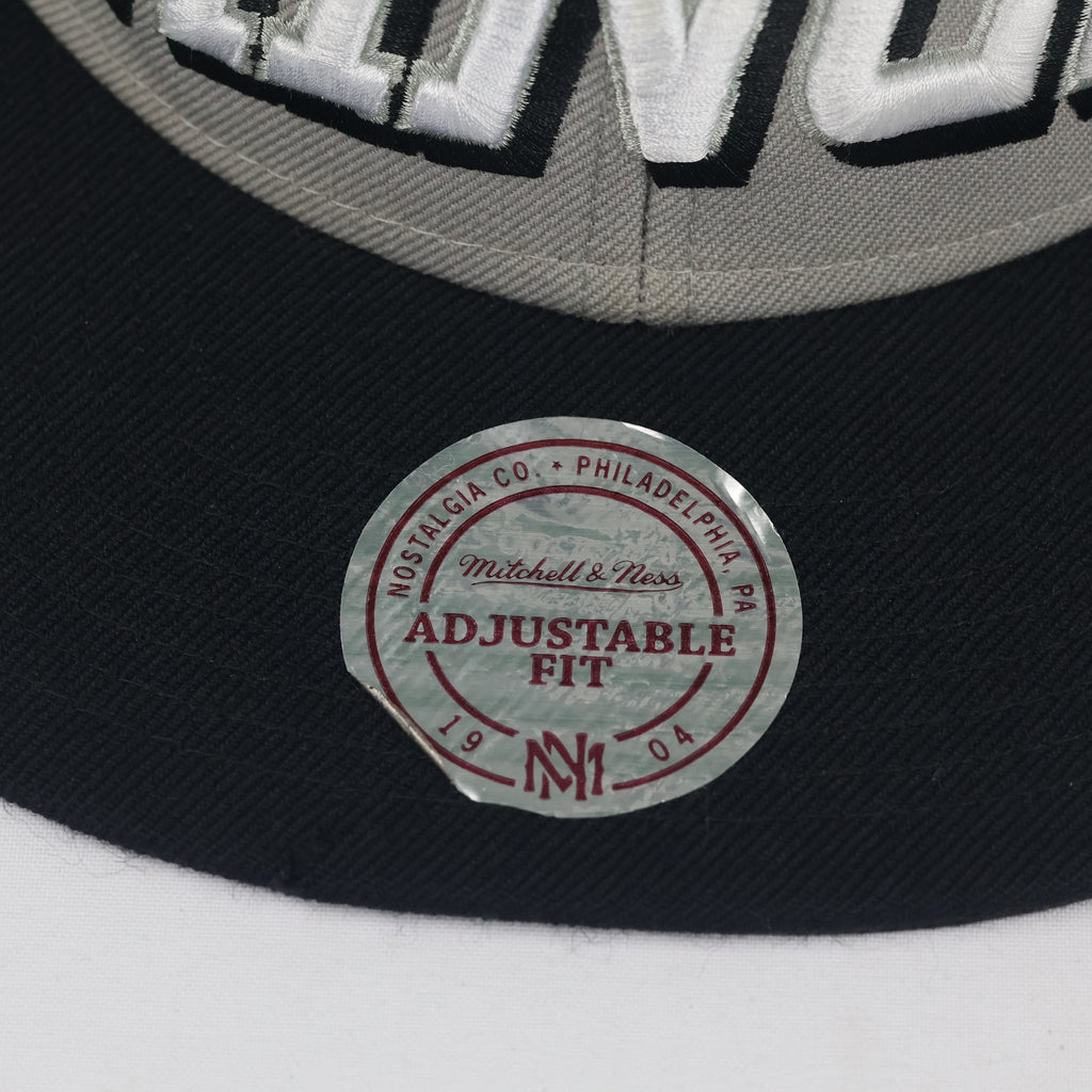 Vintage Mitchell & Ness LA Kings Snapback Hat | Thrifted Grey Black NHL Hockey Cap