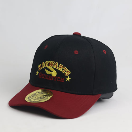 Thrifted Harry Potter Hogwarts Quidditch Black & Maroon Embroidered Strapback Hat