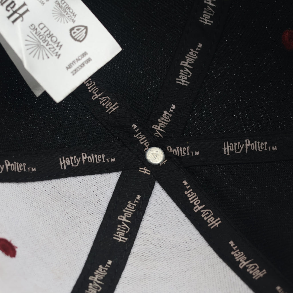 Thrifted Harry Potter Hogwarts Quidditch Black & Maroon Embroidered Strapback Hat