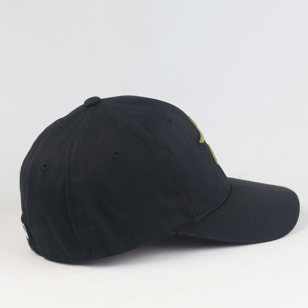 Vintage MLB Houston Astros Black & Gold Embroidered Flexfit Hat | 11033
