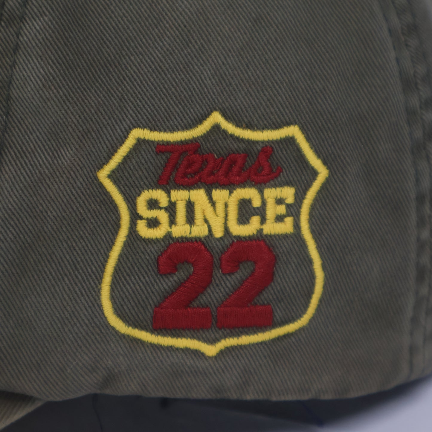 Vintage-Style Dickies Distressed Dad Hat