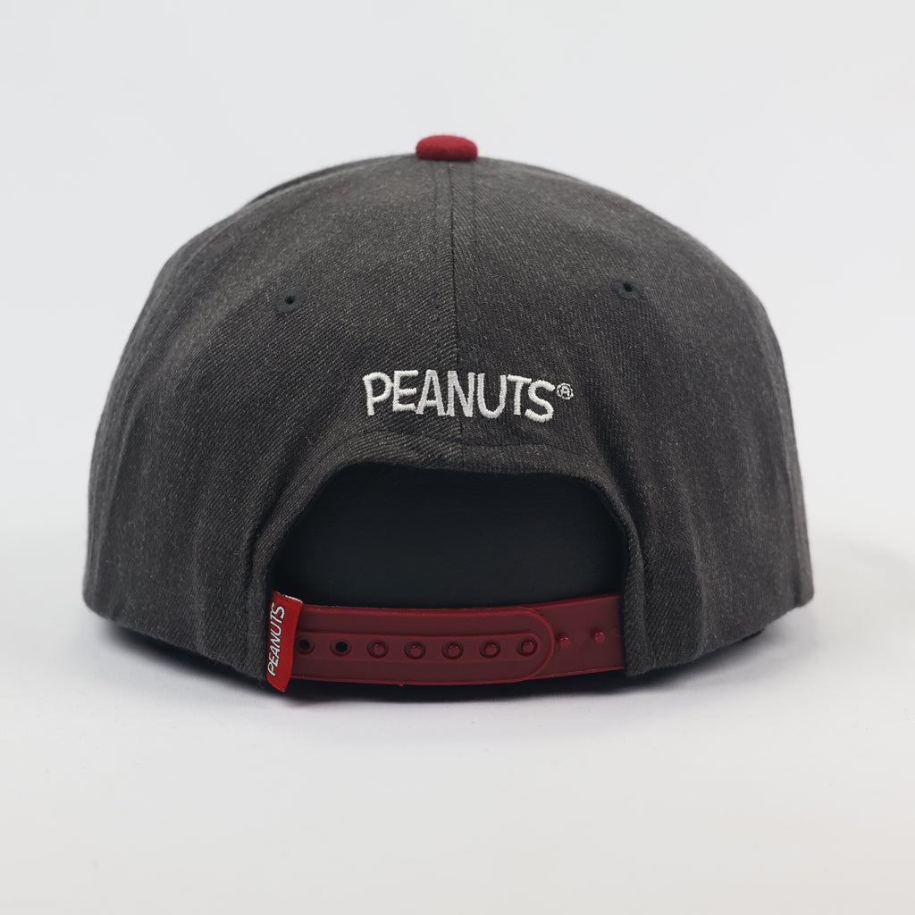 Vintage Peanuts Snoopy & Woodstock Snapback Thrifted Hat - Grey & Red Two-Tone