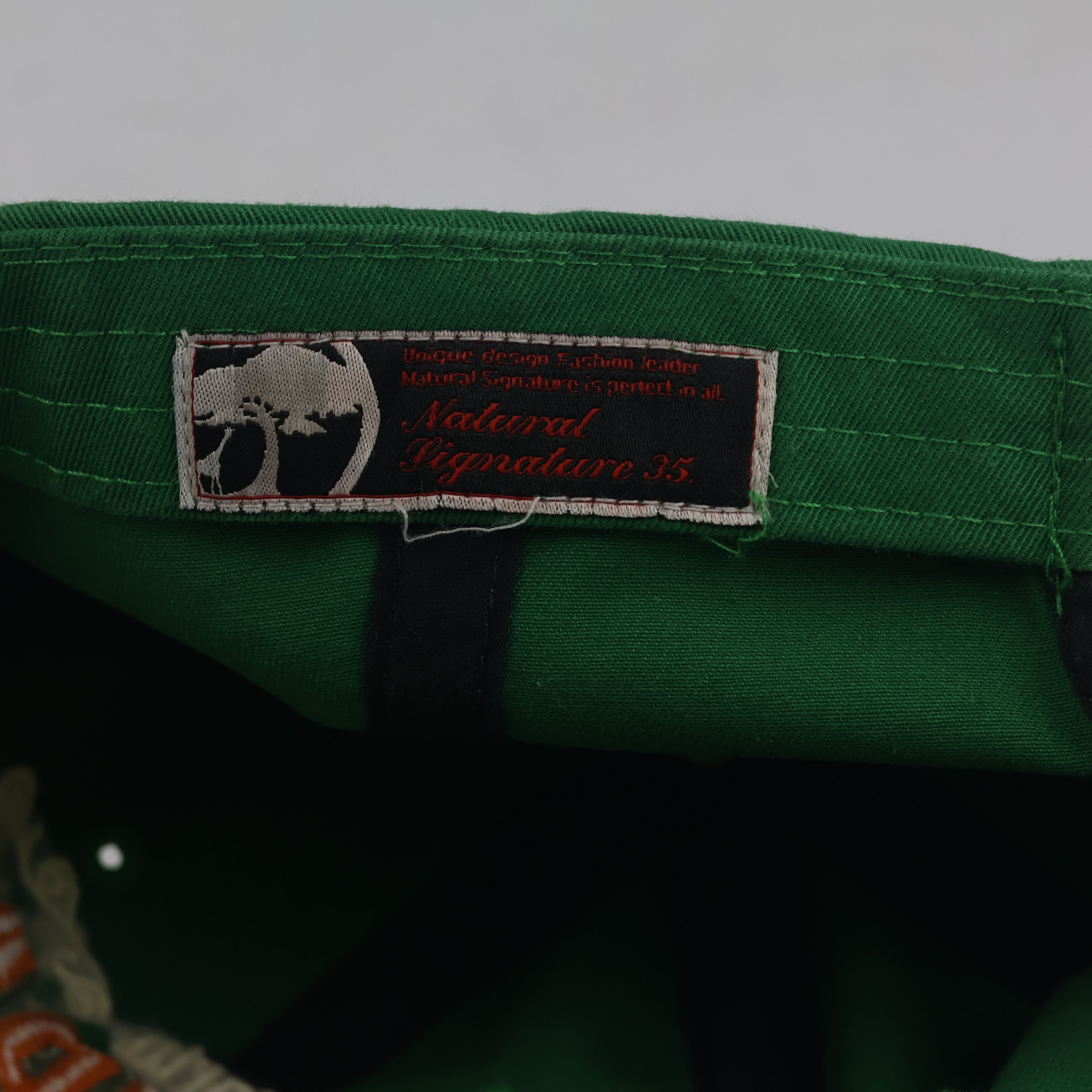 Thrifted Green & Orange "World Natural Vintage" Graphic Strapback Hat
