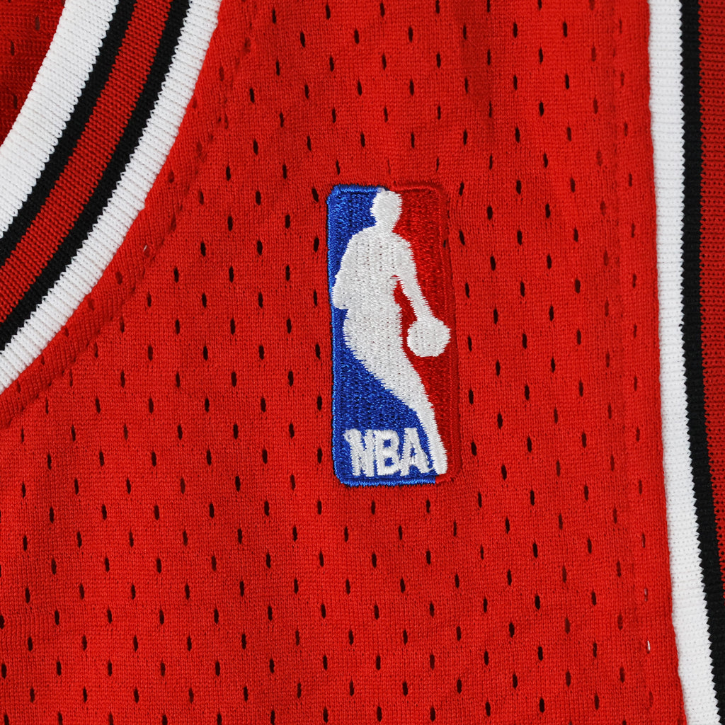Vintage Adidas NBA Chicago Bulls Dennis Rodman #91 Hardwood Classics Jersey