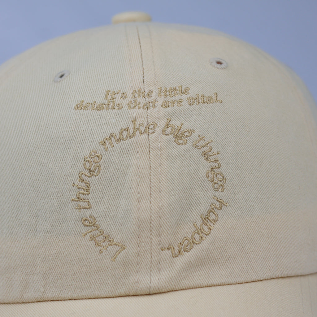 Gold Embroidered Dragonfly Corduroy Hat – Black