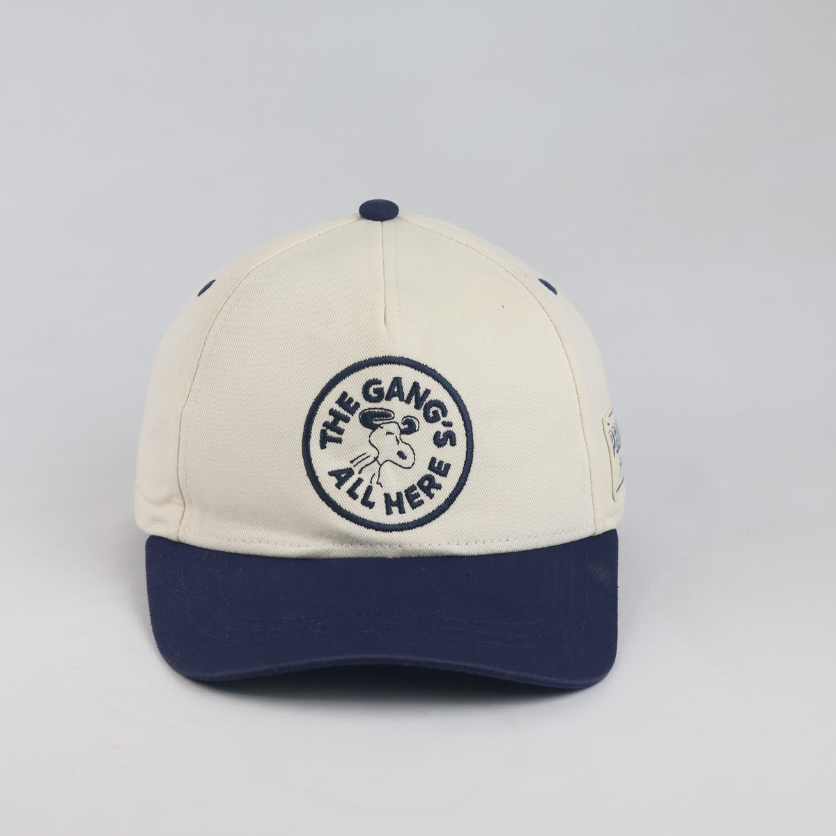 Thrifted Peanuts Social Club Snoopy Two-Tone Baseball Cap | 10203