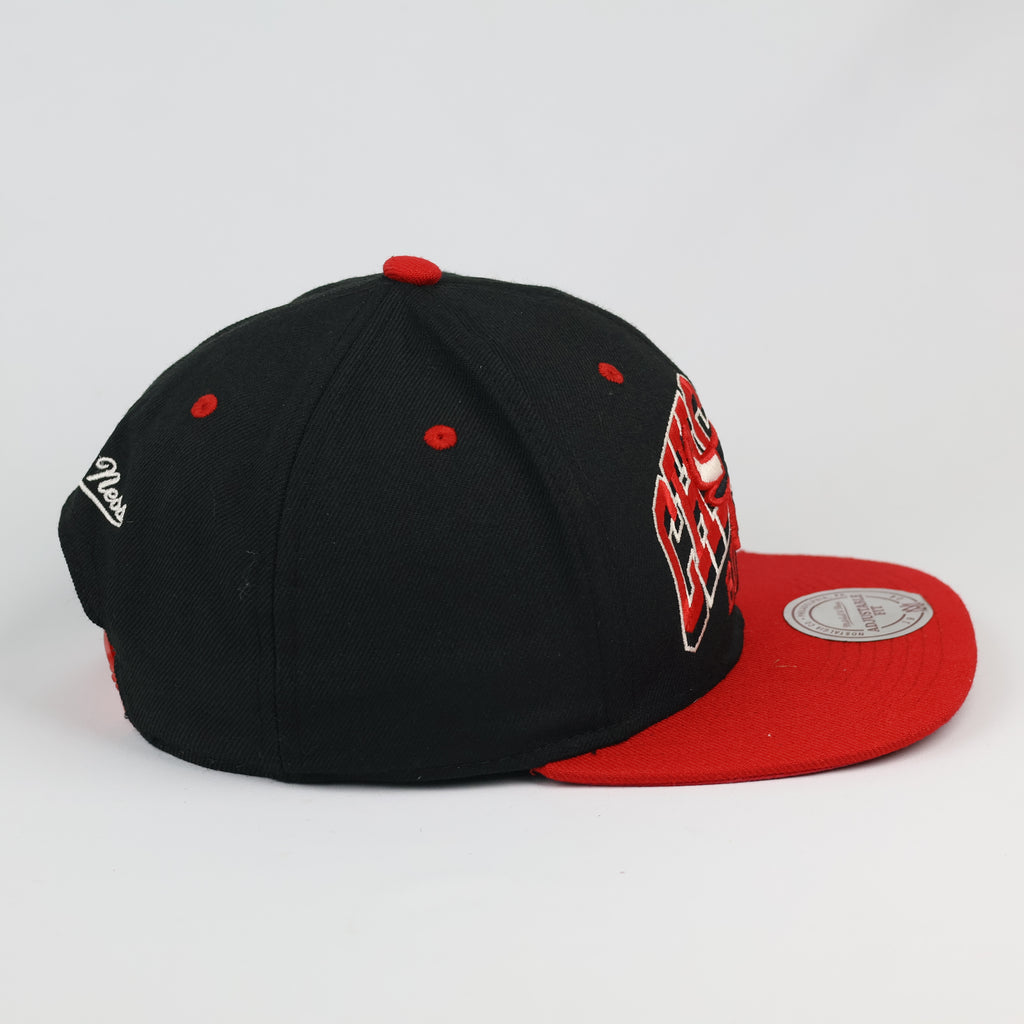 Vintage Chicago Bulls Hardwood Classics Snapback Thrifted Hat