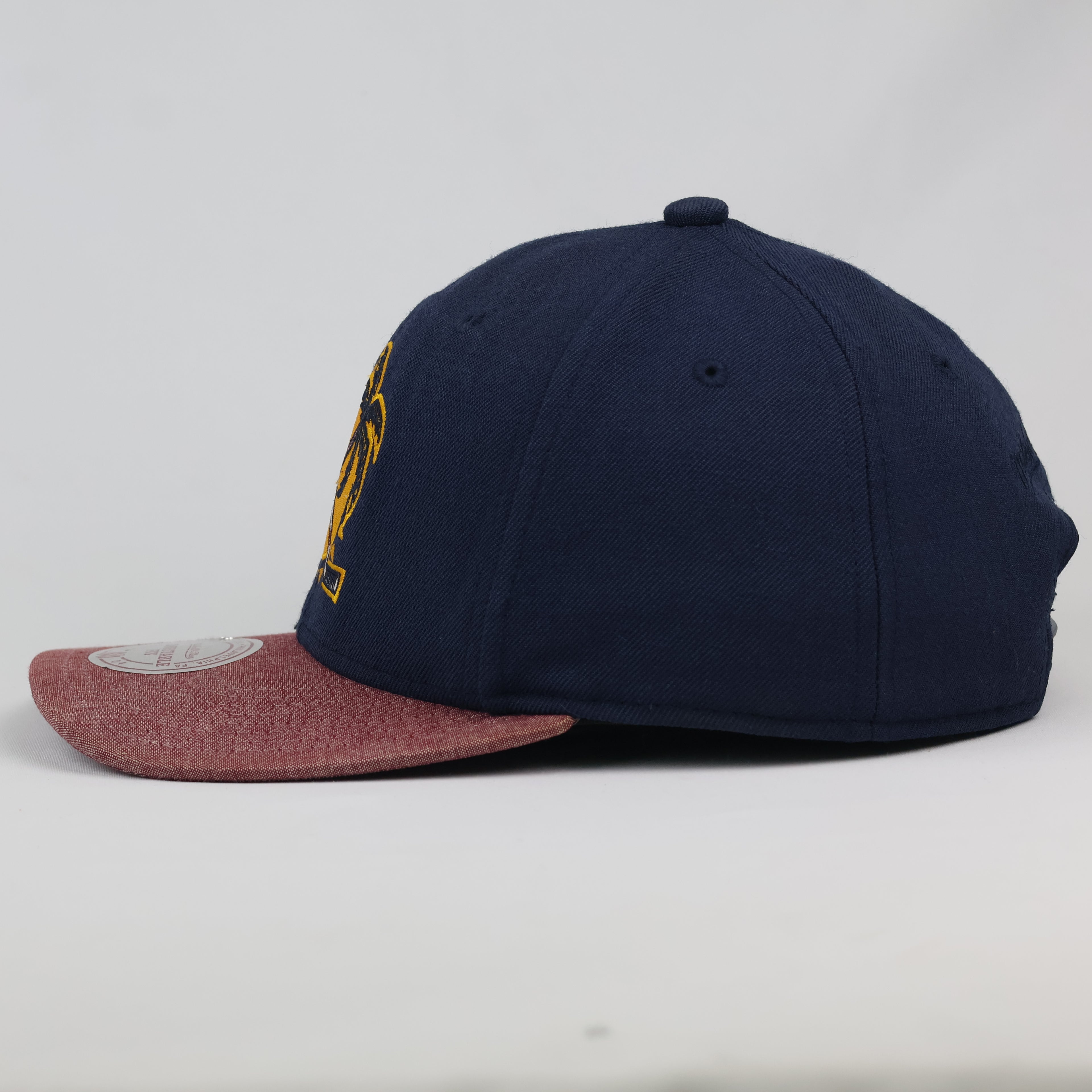 Vintage Florida Panthers NHL Mitchell & Ness Cap