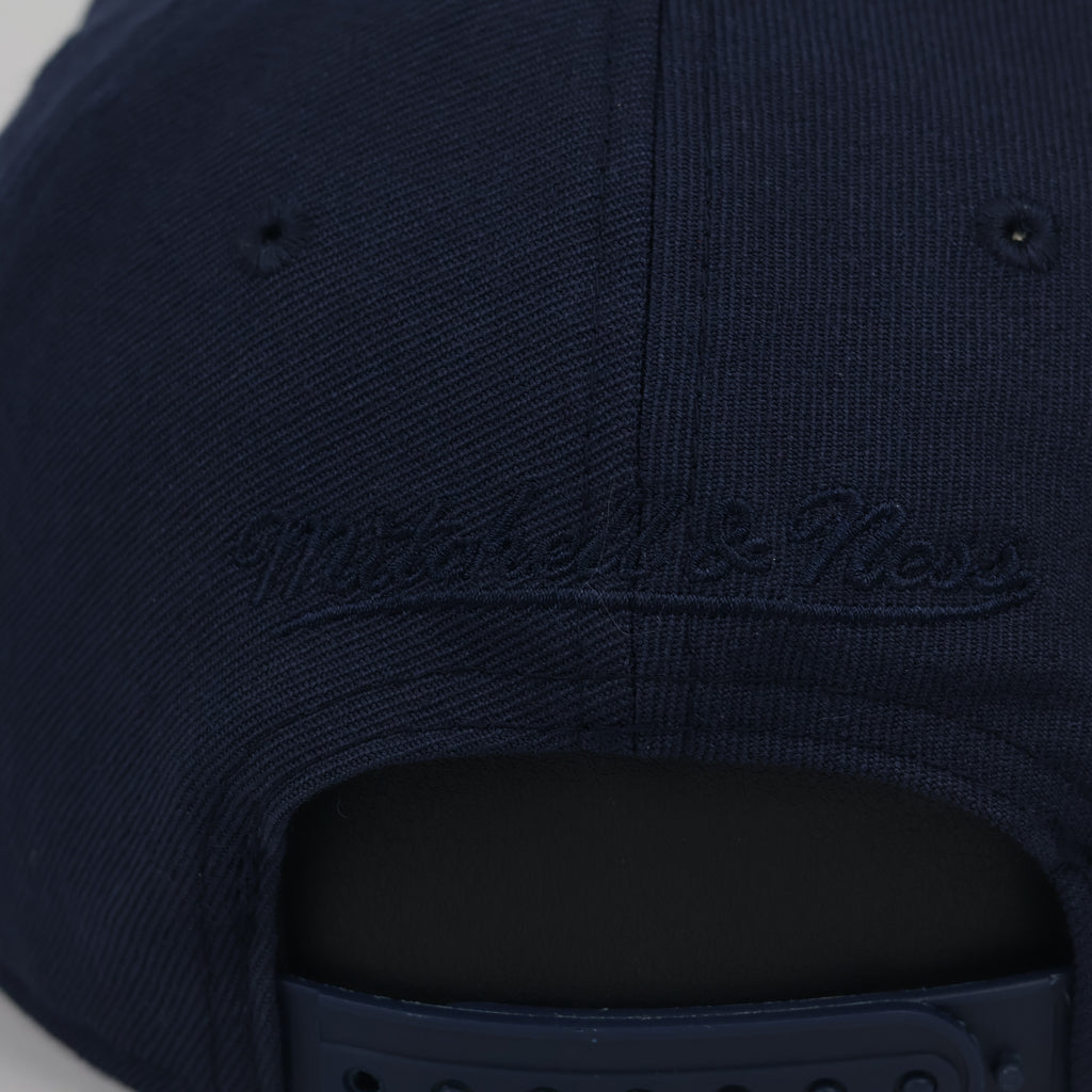 Vintage Florida Panthers NHL Mitchell & Ness Cap