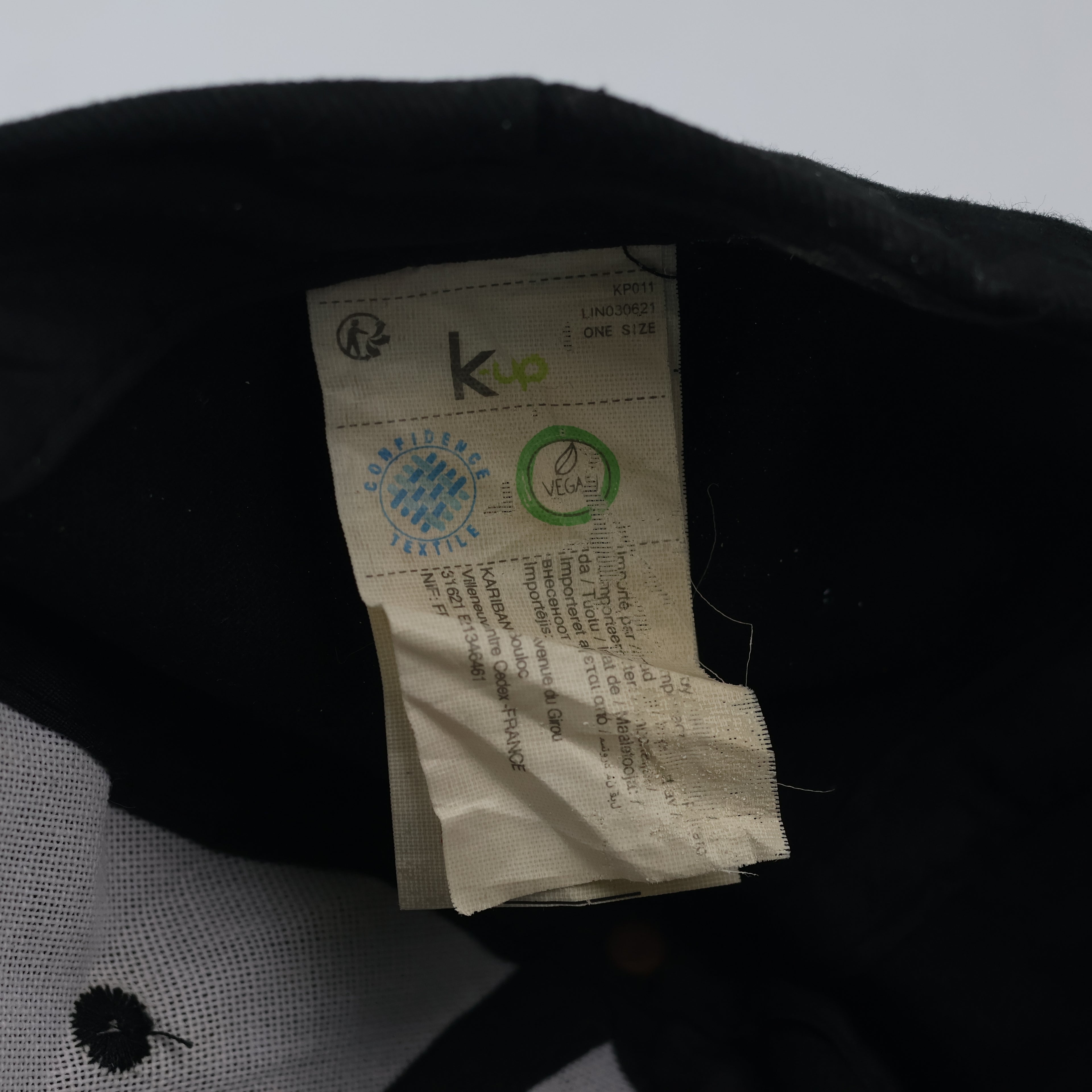 Thrifted K-Up French Riviera Monaco Coat of Arms Dad Hat
