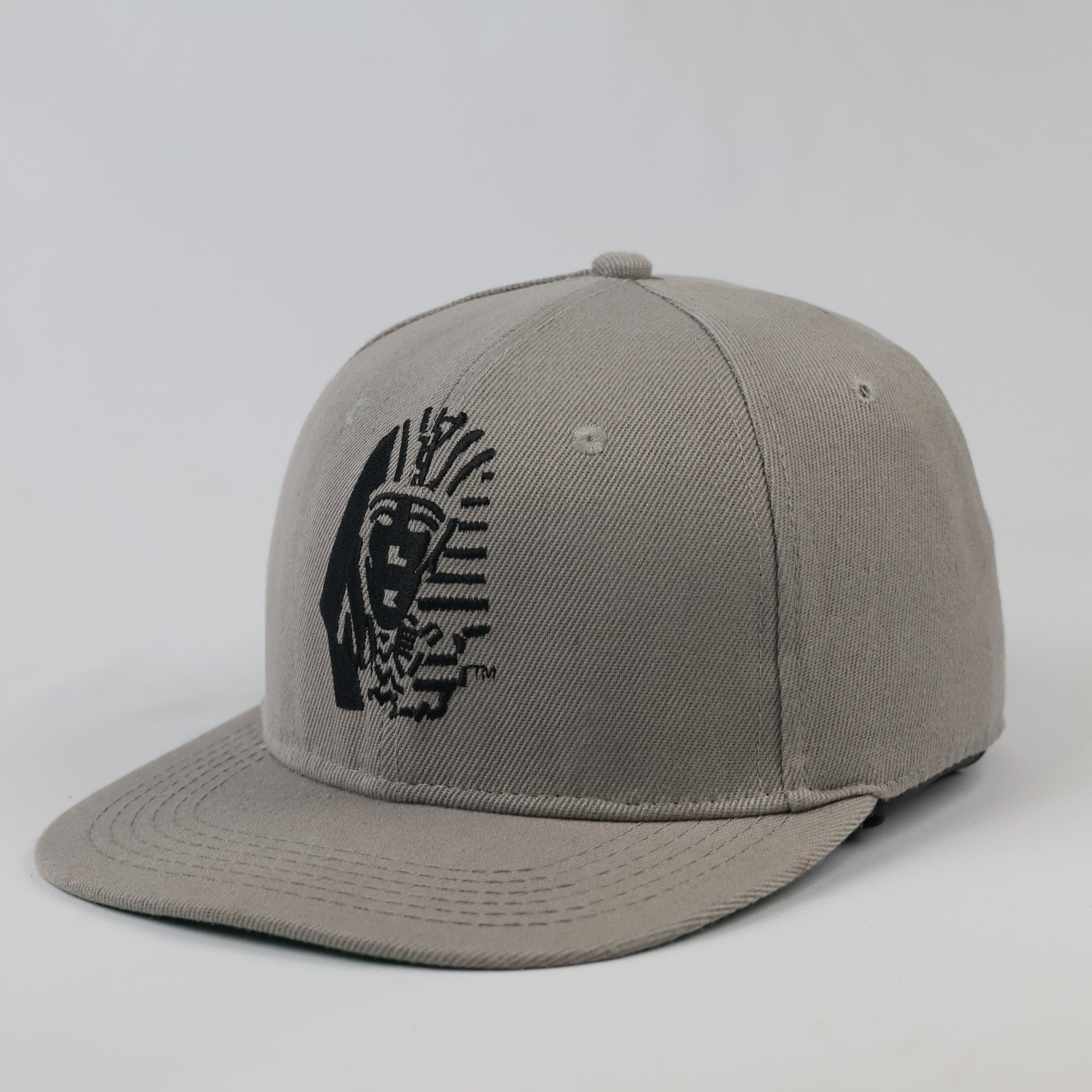 Last Kings Embroidered Pharaoh Logo Hat - Grey Snapback with Green Underbrim