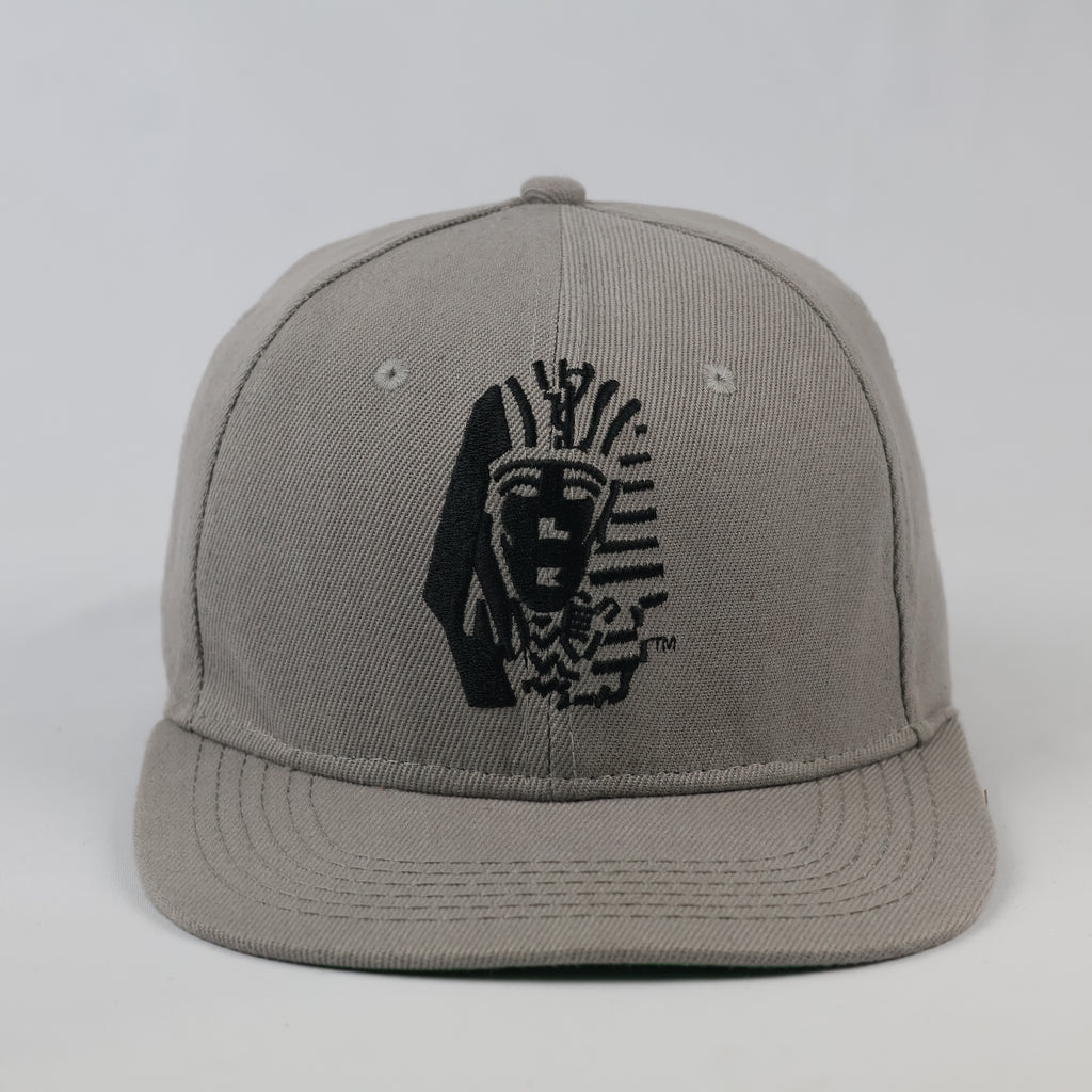 Last Kings Embroidered Pharaoh Logo Hat - Grey Snapback with Green Underbrim