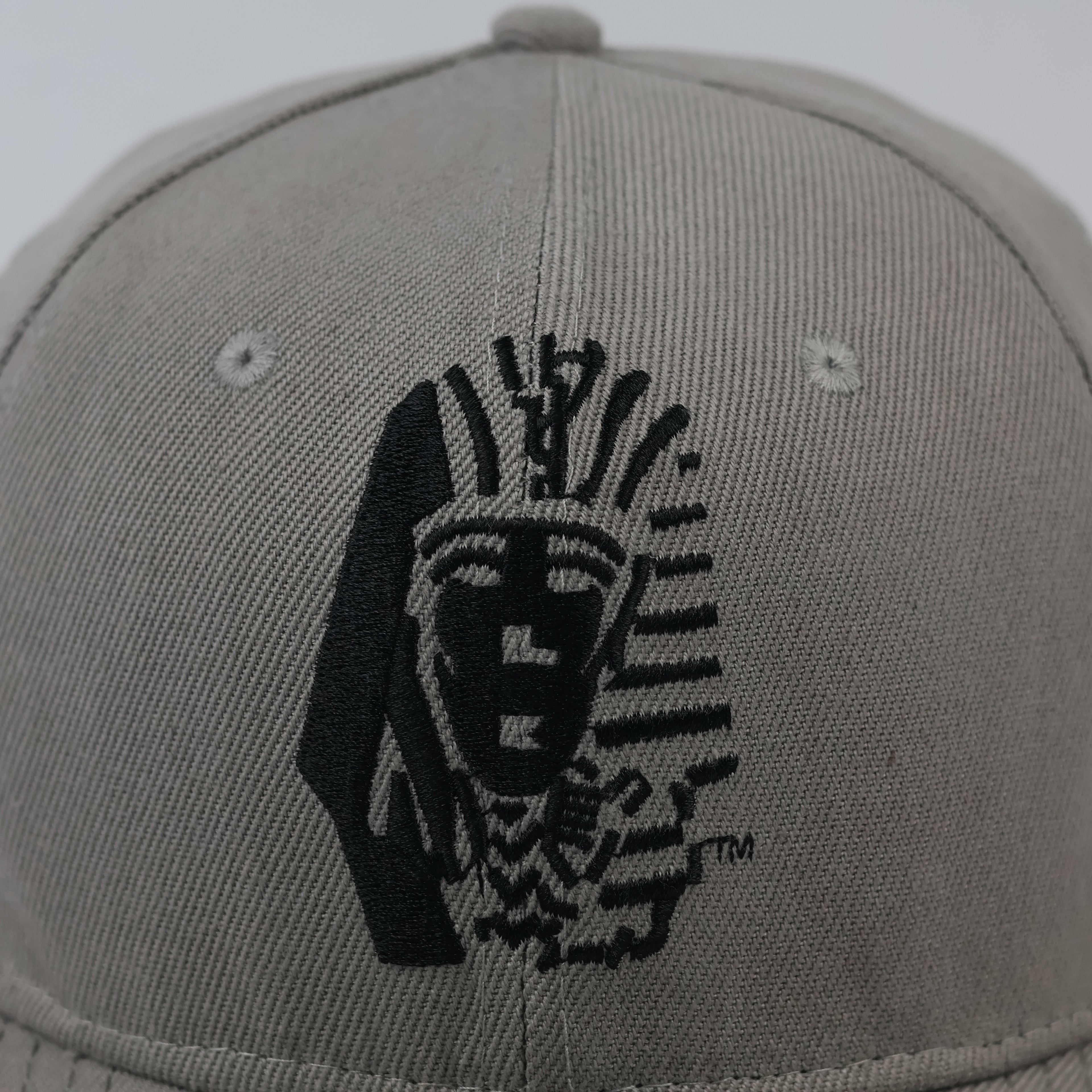 Last Kings Embroidered Pharaoh Logo Hat - Grey Snapback with Green Underbrim