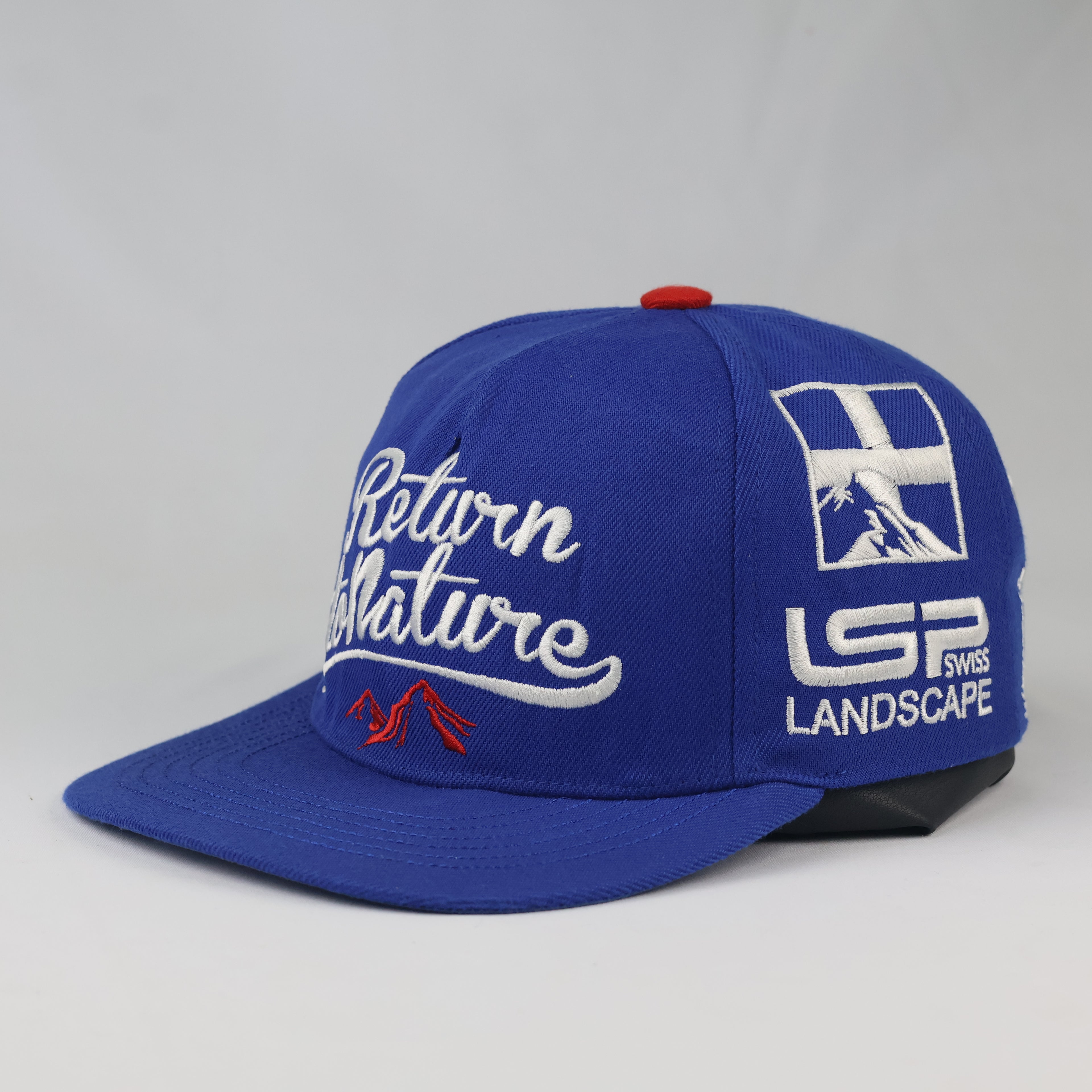 Swiss Landscape Return to Nature Snapback | Thrifted Blue Cap 56-58cm