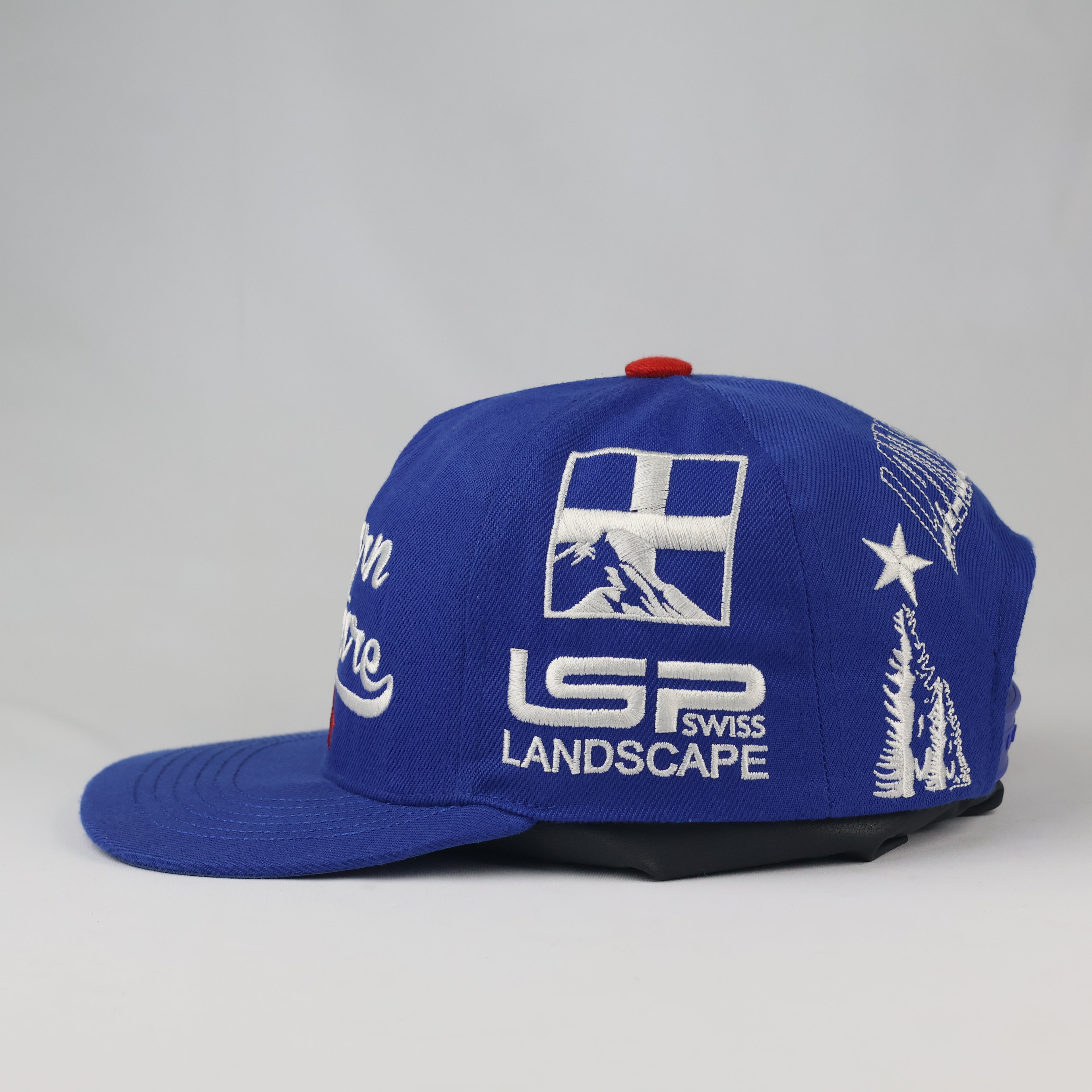 Swiss Landscape Return to Nature Snapback | Thrifted Blue Cap 56-58cm
