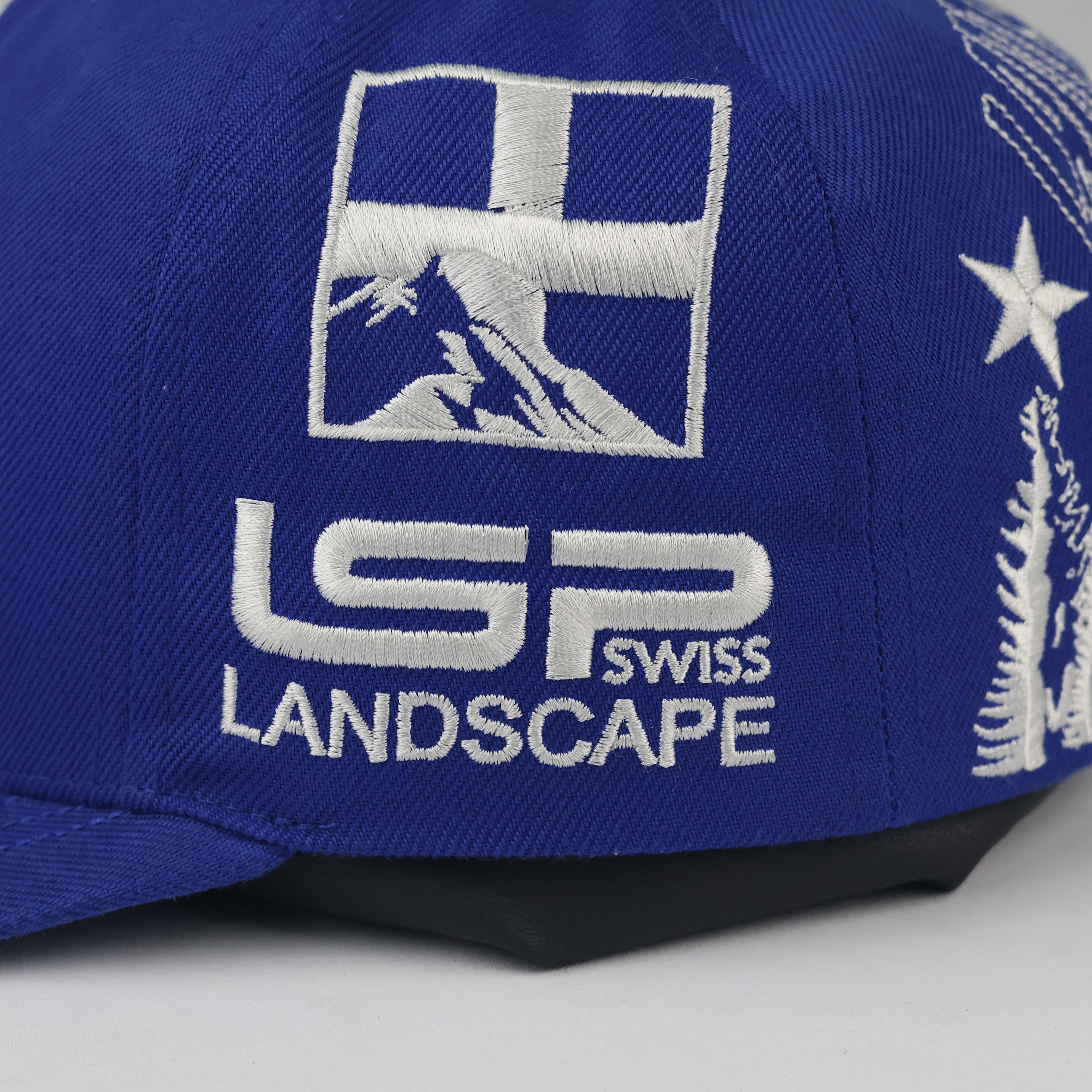 Swiss Landscape Return to Nature Snapback | Thrifted Blue Cap 56-58cm