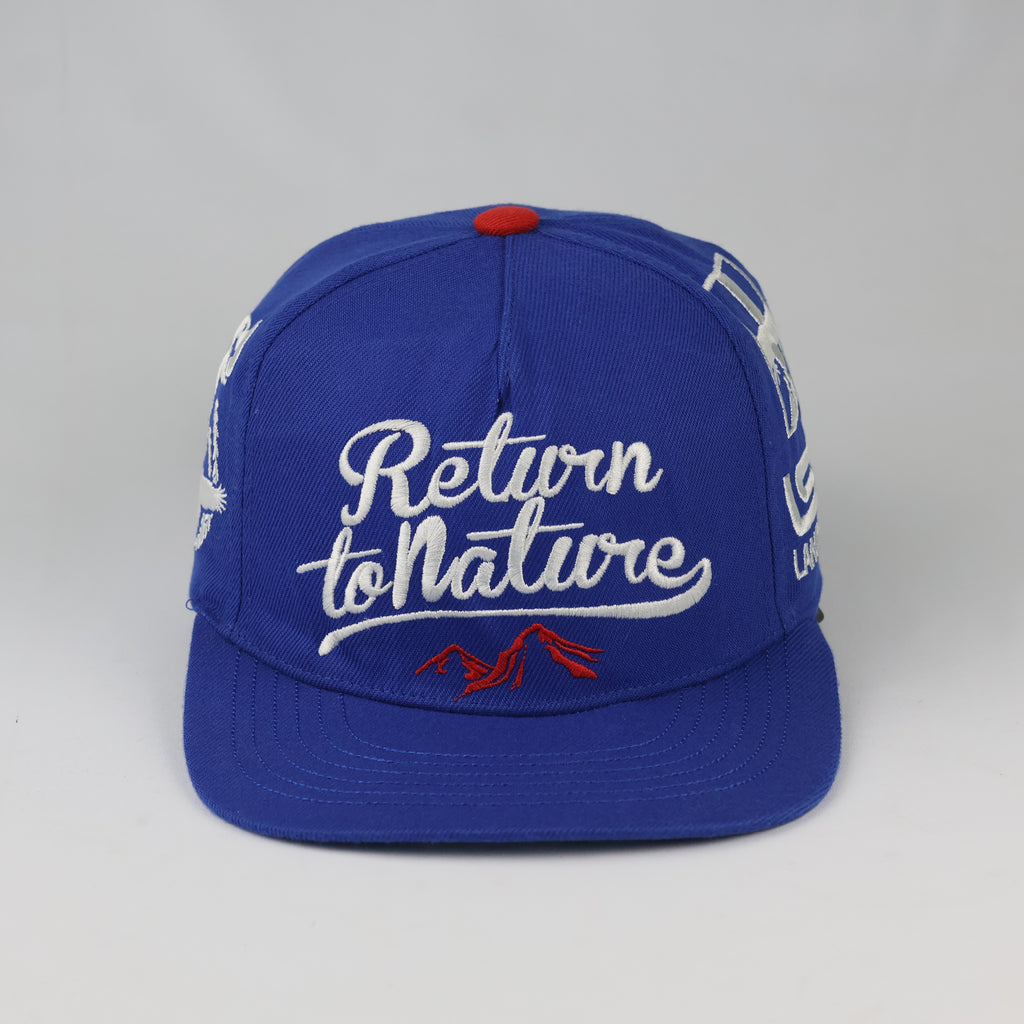 Swiss Landscape Return to Nature Snapback | Thrifted Blue Cap 56-58cm