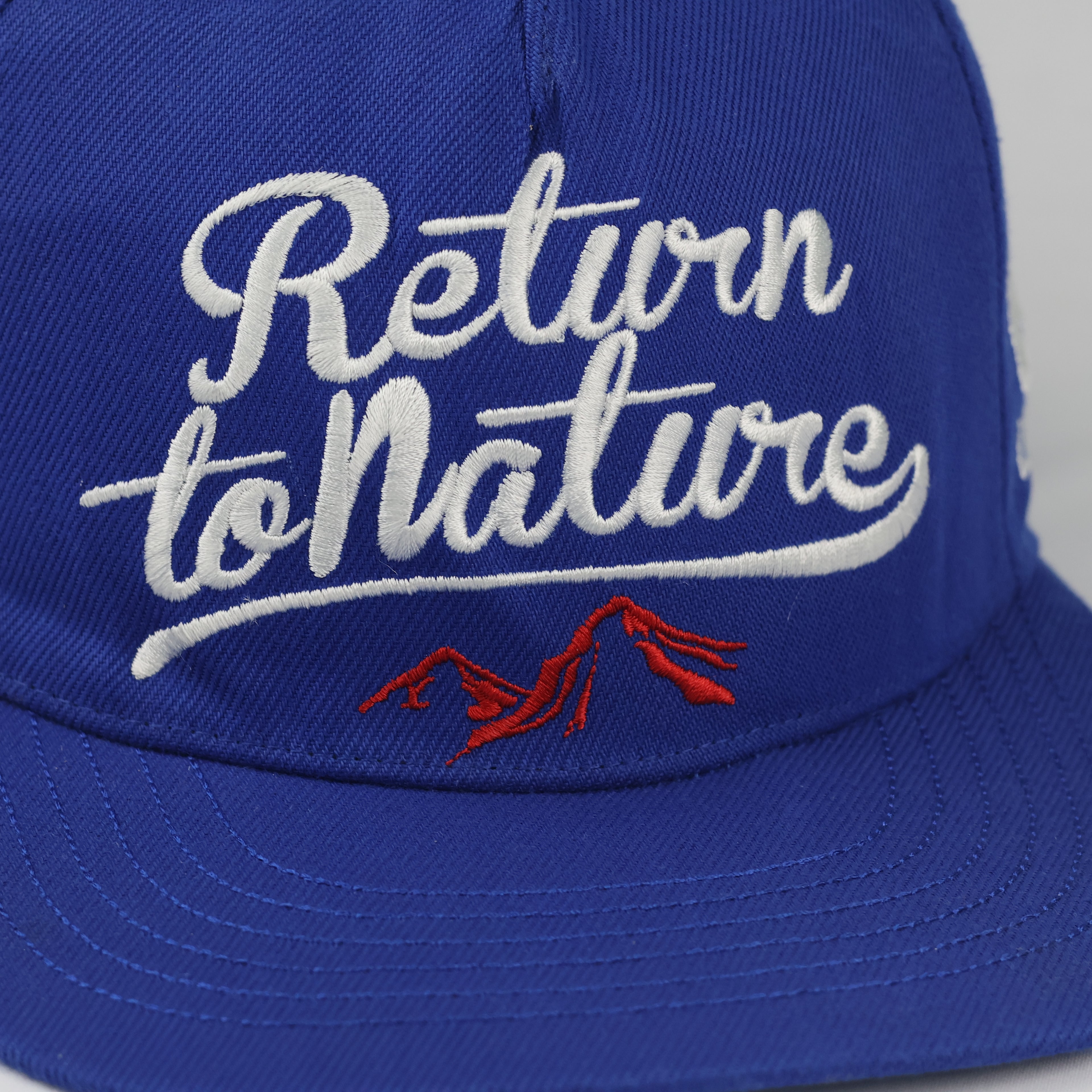 Swiss Landscape Return to Nature Snapback | Thrifted Blue Cap 56-58cm