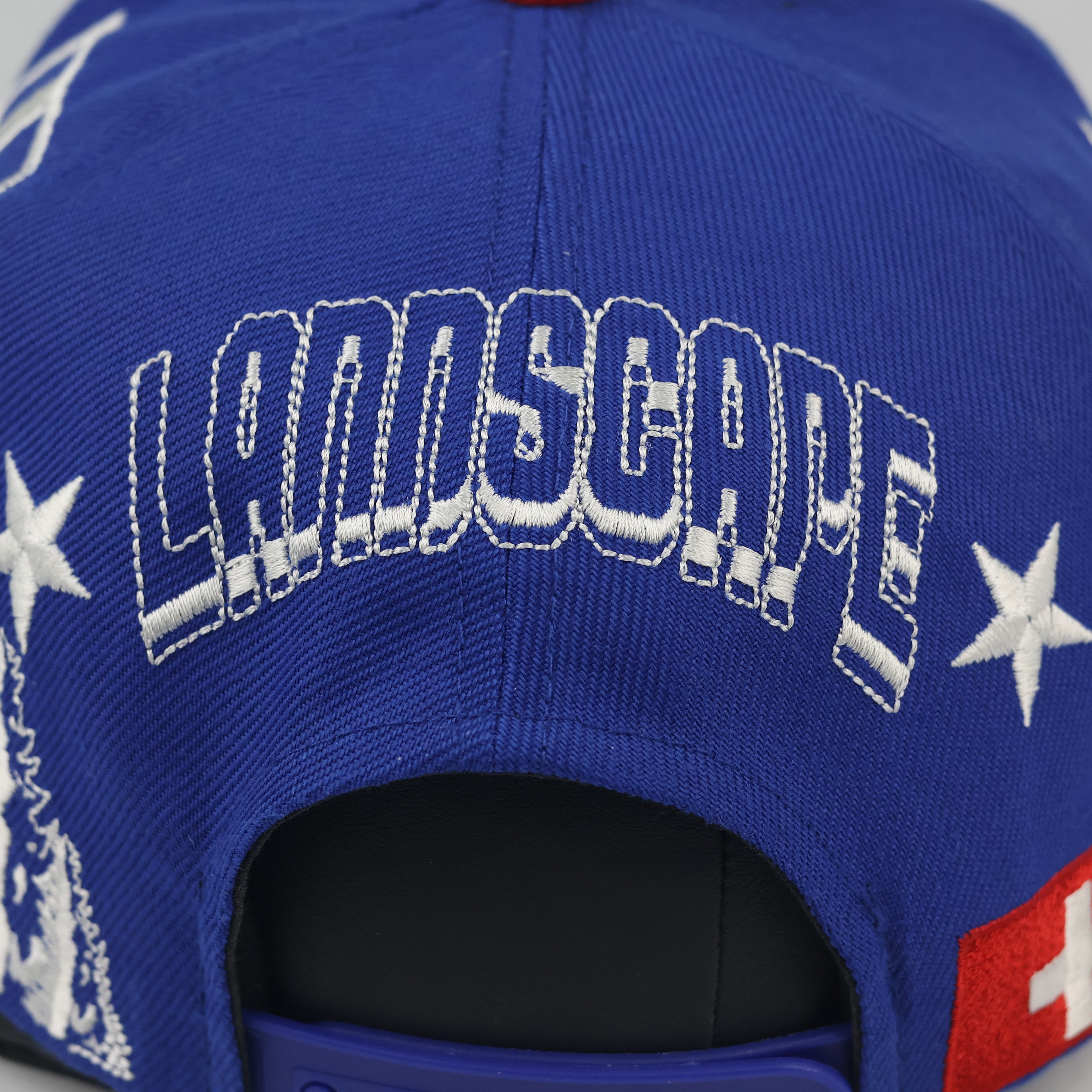 Swiss Landscape Return to Nature Snapback | Thrifted Blue Cap 56-58cm