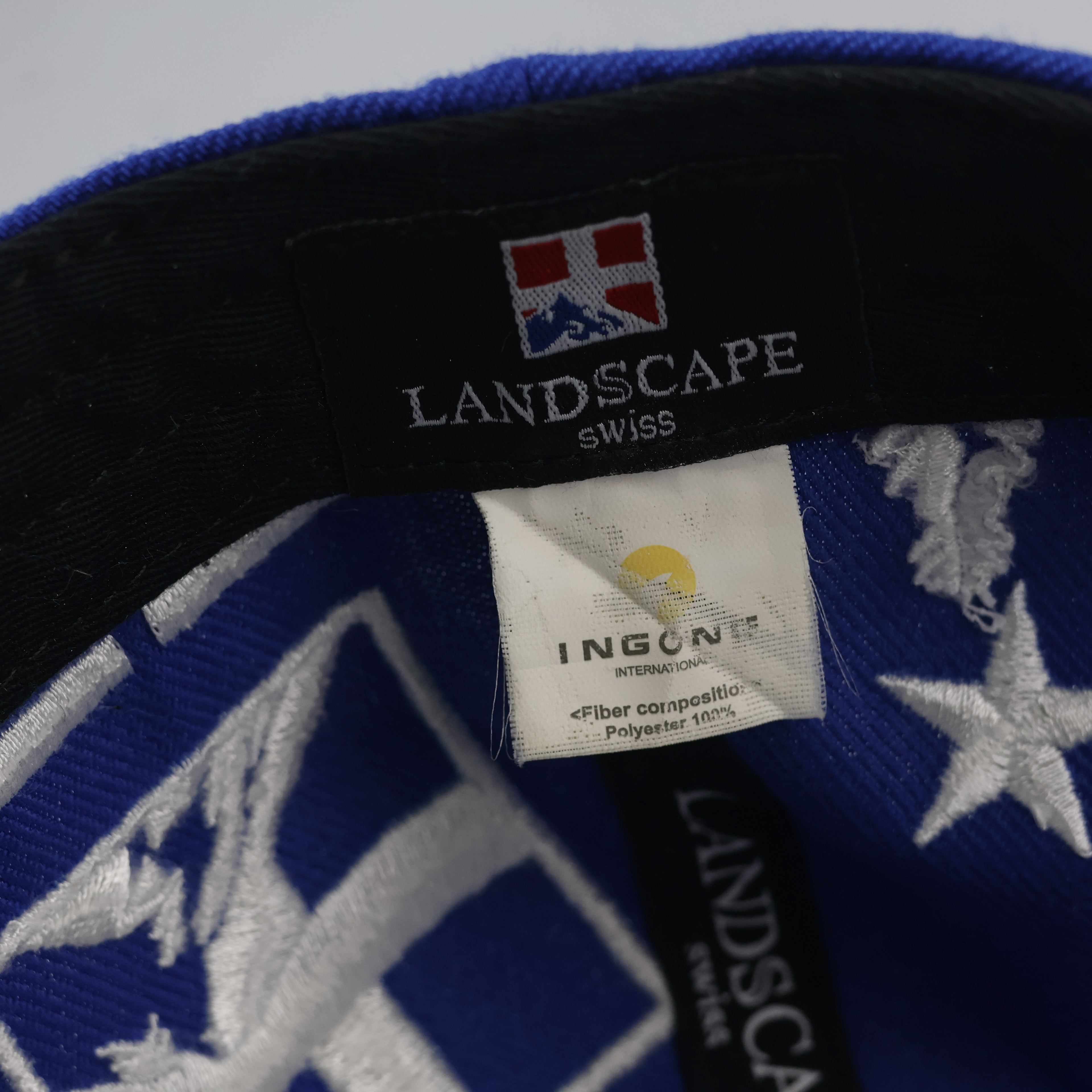 Swiss Landscape Return to Nature Snapback | Thrifted Blue Cap 56-58cm